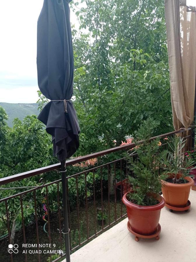 Άγρια Λούλουδα Κατοικία Αρμονία Τυμφρηστός Εξωτερικό φωτογραφία
