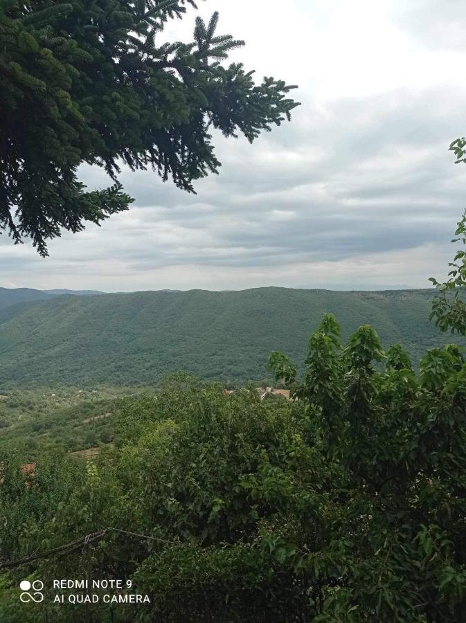 Άγρια Λούλουδα Κατοικία Αρμονία Τυμφρηστός Εξωτερικό φωτογραφία