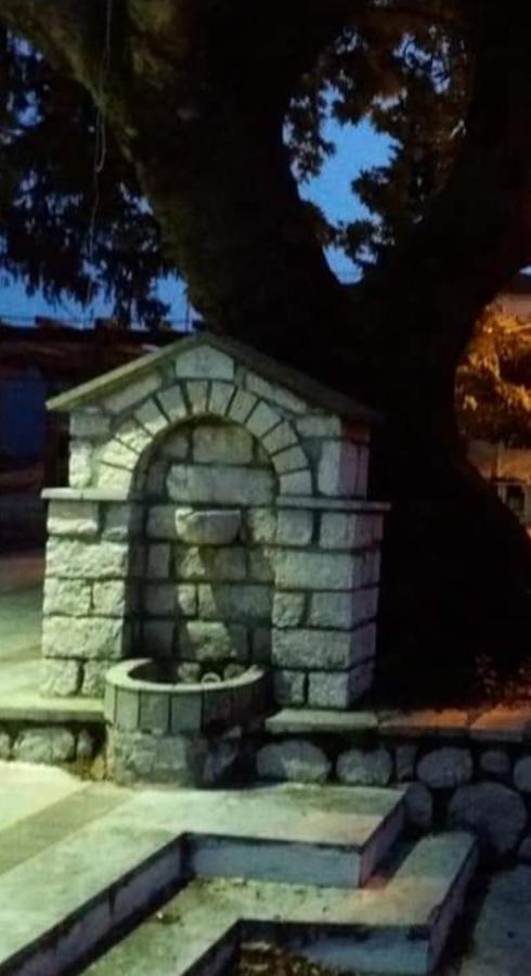 Άγρια Λούλουδα Κατοικία Αρμονία Τυμφρηστός Εξωτερικό φωτογραφία